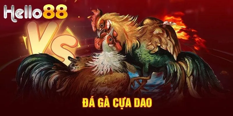 Đá gà cựa dao đầy kịch tính tại HELLO88