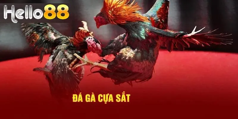 Học hỏi kinh nghiệm chơi hiệu quả từ các cao thủ