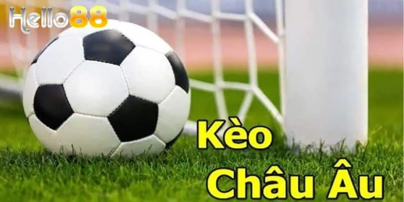Thông tin cơ bản về kèo châu Âu dễ hiểu