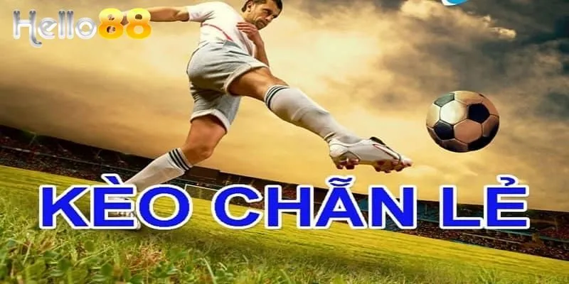 Tổng hợp các loại cược cơ bản có trong kèo chẵn lẻ